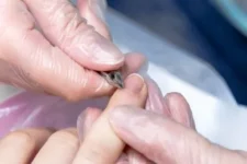 Курсы маникюра для начинающих в онлайн