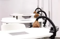 Курсы педикюра в онлайн